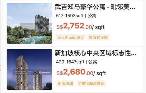 新加坡房產經紀最怕什么 不是市場冷，是中國人搜不到你